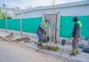 San Fernando. El Municipio sigue plantando nuevos árboles en distintos barrios